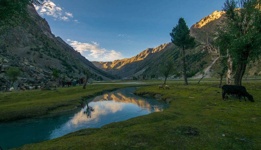 Naltar