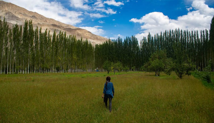 Kashal Agri