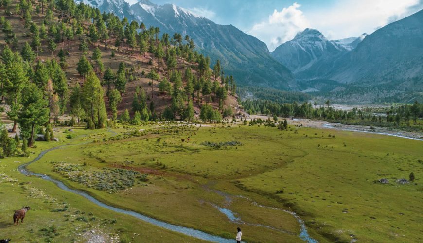 Basho Meadows Skardu
