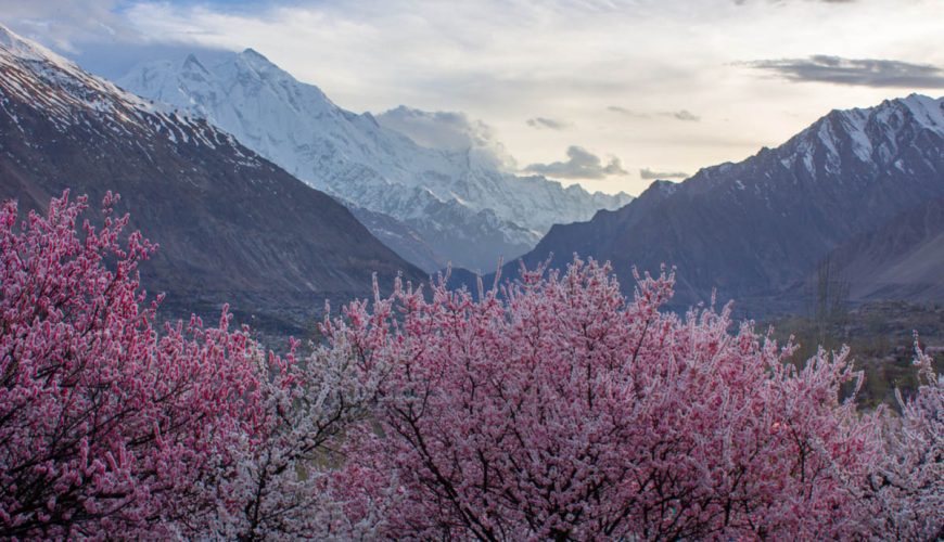 Karimabad