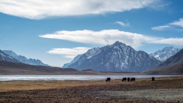 Shandur