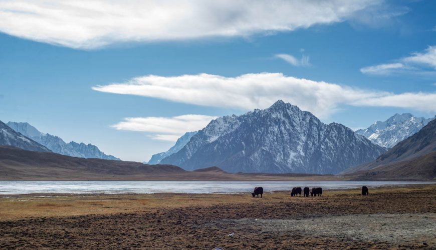 Shandur