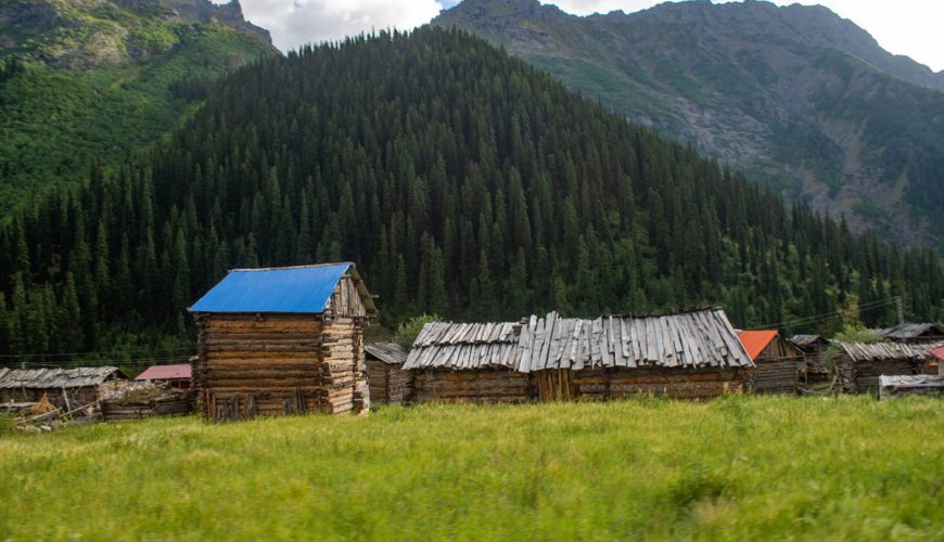 Minimarg
