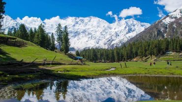 Nanga Parbat as seen from Fairy meadows